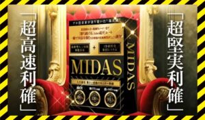 MIDAS(ミダス)丨株式会社Stellaに<span class="sc_marker">登録して実態を調査しました！</span>その結果…<font color="#ff3333">危険な悪質事業者</font>と判明。